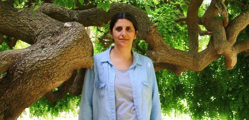 Dilek Değerli:”Okuyup Yazmak ve Külkedisi Şiir”